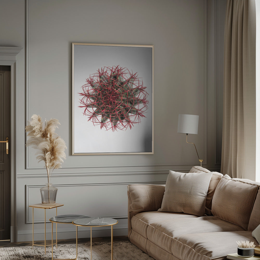 Cacti Poster